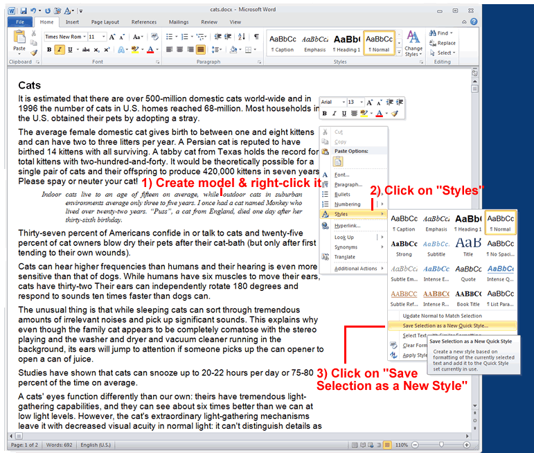 Screen-shot of MS-Word showing how to create a new style