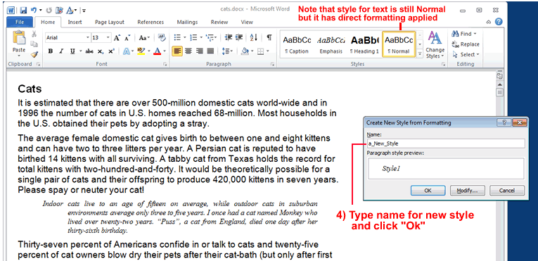 Screen-shot of MS-Word showing dialog box to name a new style